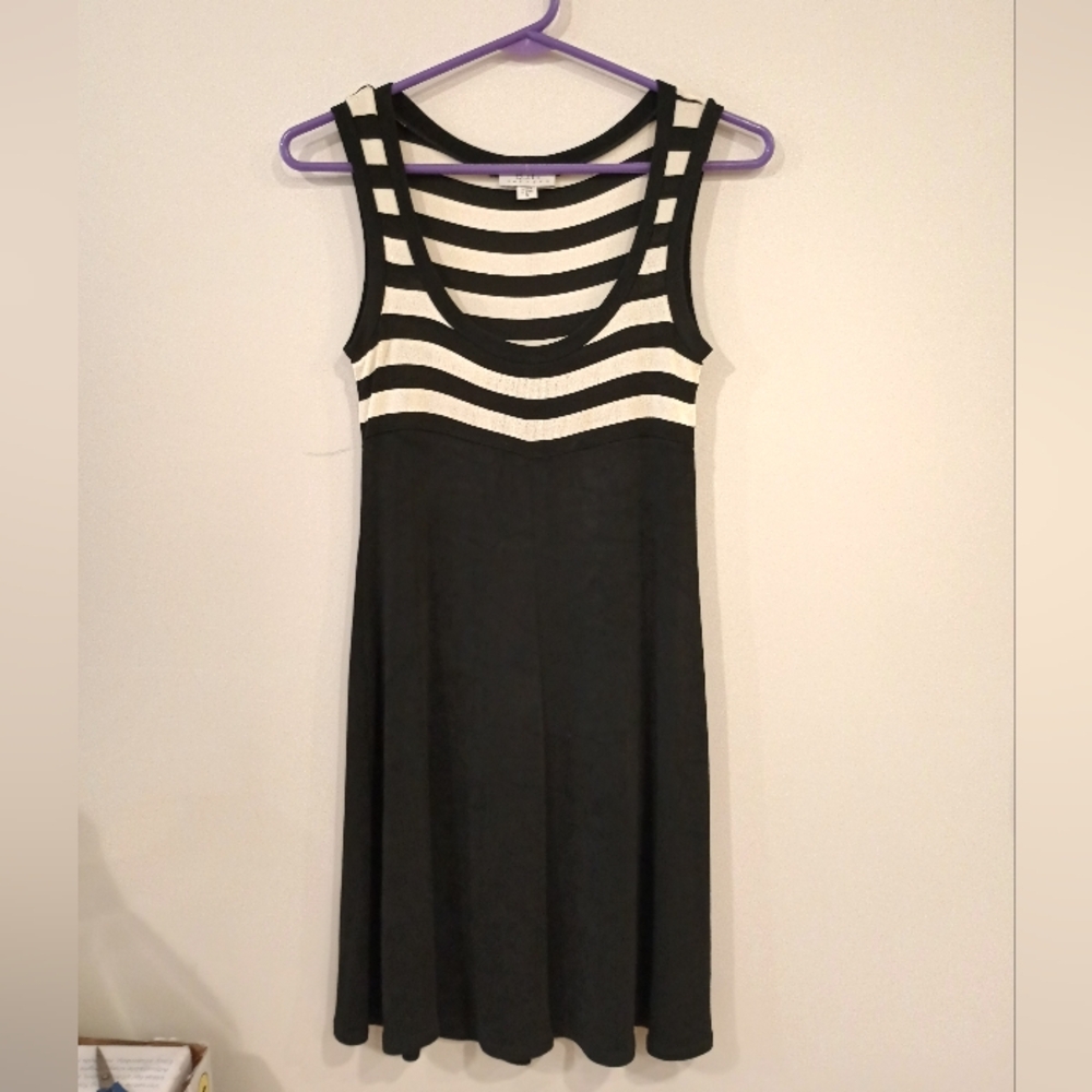 BCBG Vintage Mini Dress